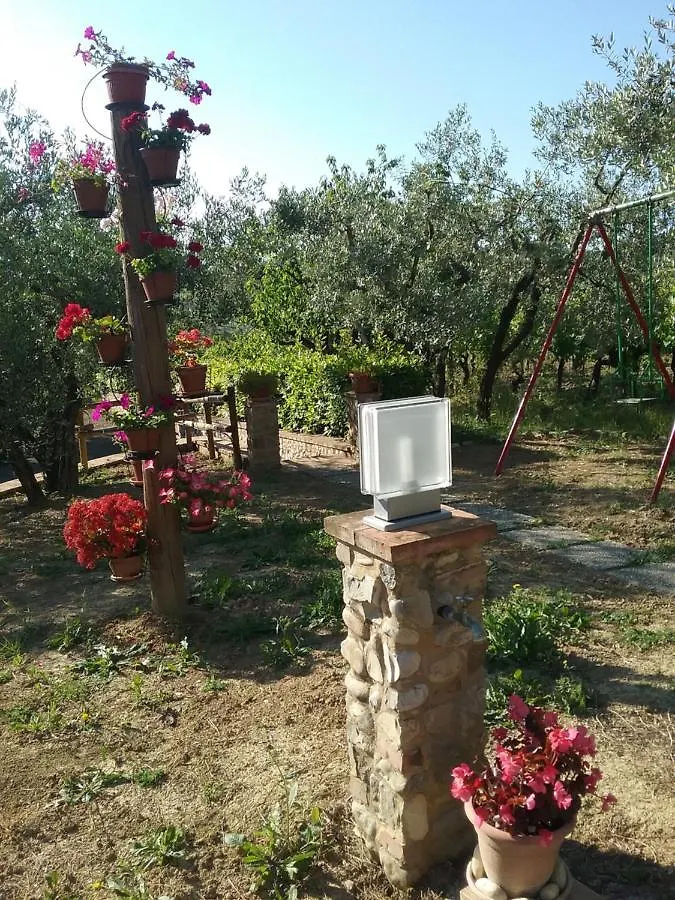 Casa di campagna Affittacamere Casa le Betulle Montespertoli Italia