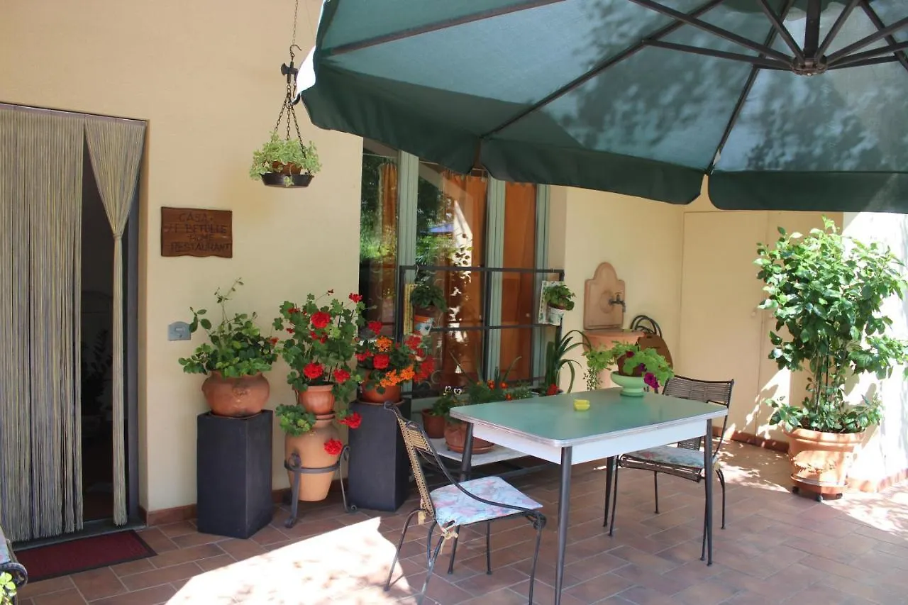 Affittacamere Casa le Betulle Montespertoli Casa di campagna