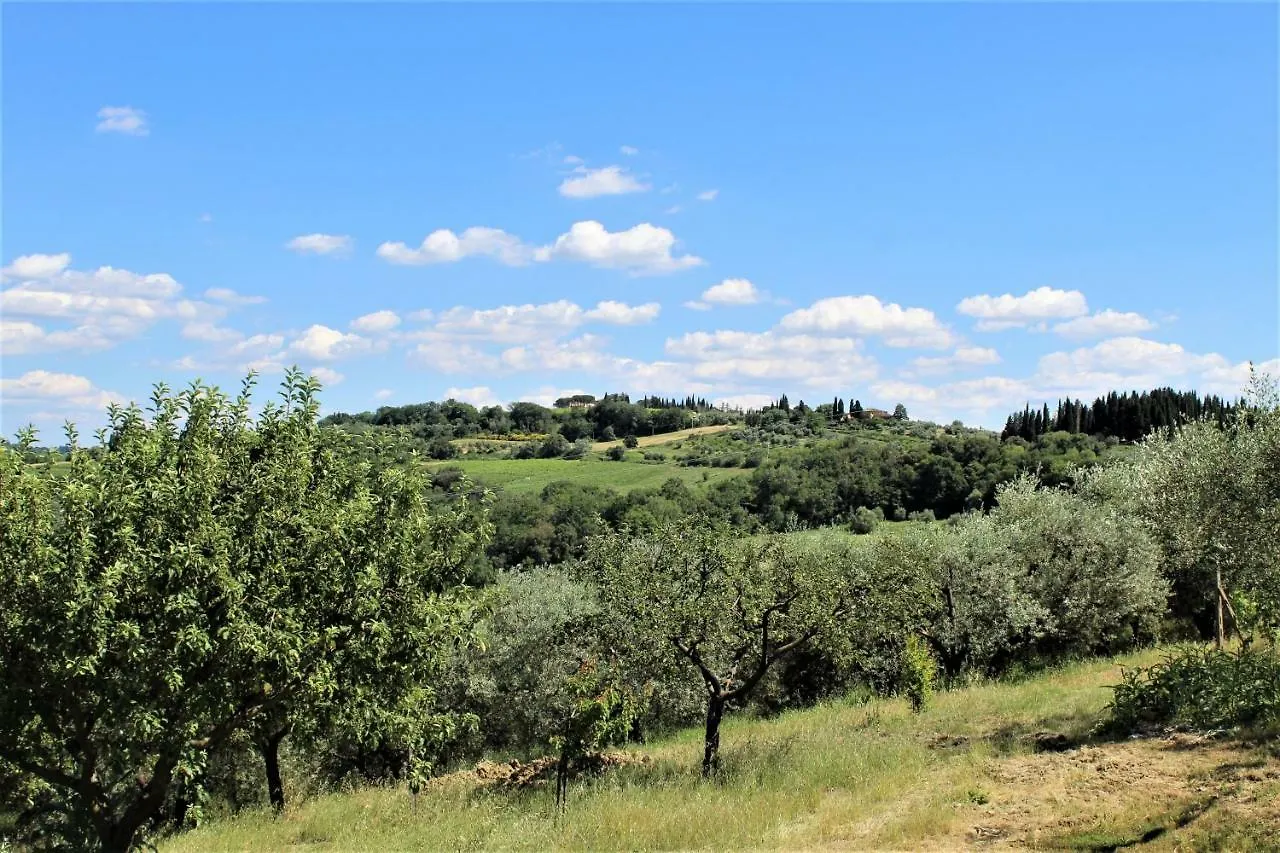 Affittacamere Casa le Betulle Montespertoli Casa di campagna